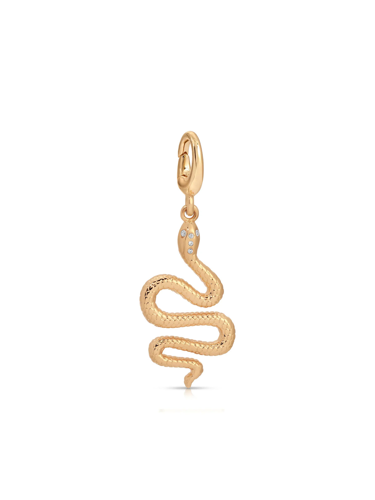 Snake Charm